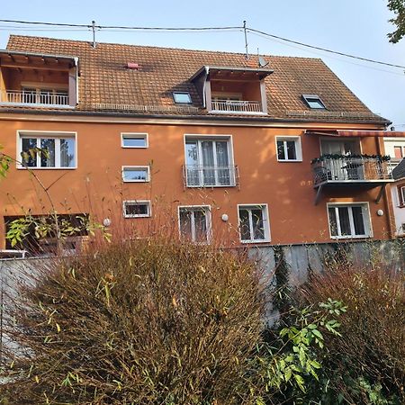 Meubles Du 25 N2 F2 Rdc Apartment Niederbronn-les-Bains Exterior photo